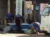 suigai87